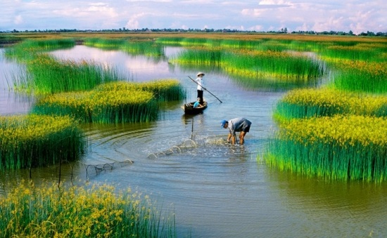 Thuê xe từ 4 chỗ, 7 chỗ, 16 chỗ đi Cà Mau - Nguyễn Duy Travel
