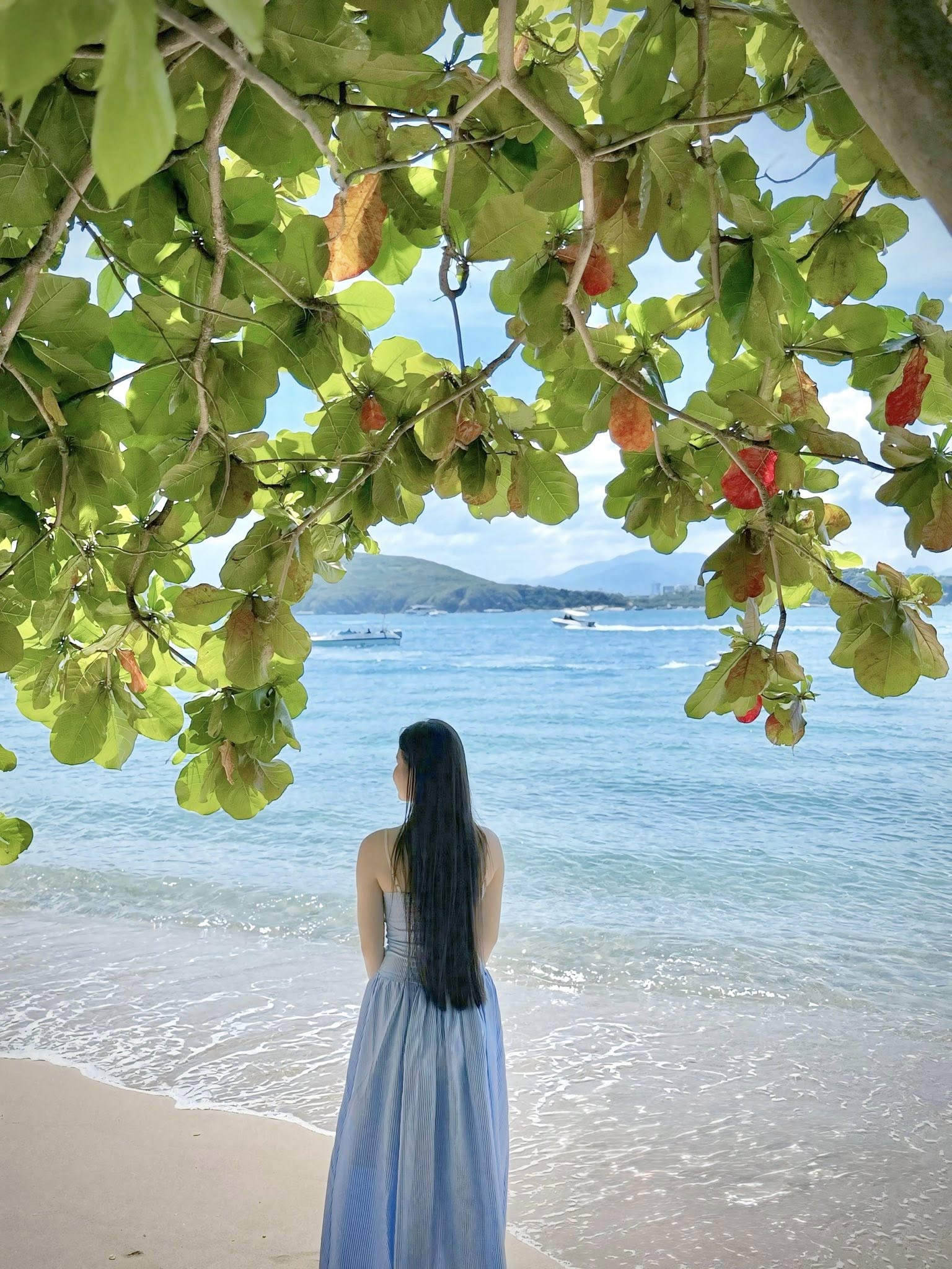 Thuê Xe 7 Chỗ Đi Nha Trang 3 Ngày 2 Đêm Giá Rẻ, Xe Đời Mới