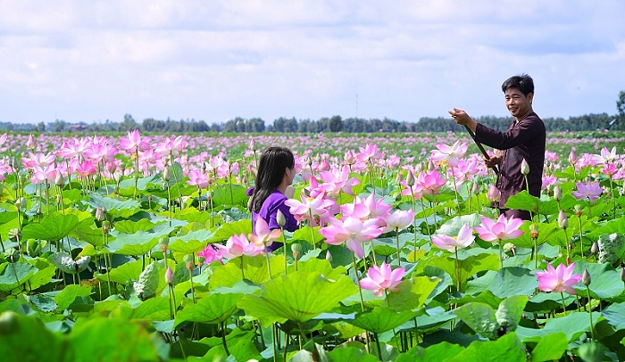 thuê xe Cần Thơ đi Đồng Tháp