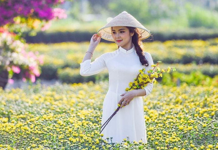 Thuê xe Cần Thơ đi Bến Tre: Chi tiết bảng giá và thủ tục